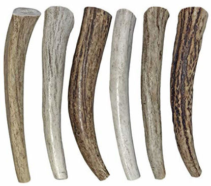 Picture of WhiteTail Naturals (6 Pack) All Natural Organic Deer Antler Dog Chews