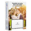 Picture of VIDBOX Video Conversion for PC (2020)