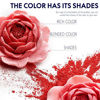 Picture of Mica Powder 50 Colors Set - Soap Coloring Set - Powdered Pigments Set - Mica Colors for Soap Making - Mica Colorant for Epoxy - Resin Color Pigment - Mica Pigment Powder