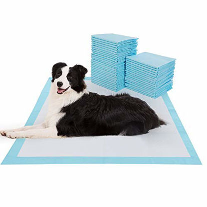 Picture of BESTLE Extra Large Pet Training and Puppy Pads Pee Pads for Dogs 28"x34" -40 Count Super Absorbent & Leak-Proof