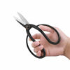 Picture of VISEMAN Japanese Bonsai Pruning Scissors-KinTakashi Gardening Shears for Bonsai Trimming 