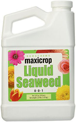 Picture of Maxicrop Liquid Seaweed (Kelp Extract, 32 Oz