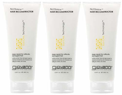 Picture of GIOVANNI Nutrafix Hair Reconstructor , 6.8 oz. for Critically Damaged Hair, Adds Softness, Body & Shine. Rich Proteins Encourage Thickness & Volume, No Parabens, Color Safe (Pack of 3)