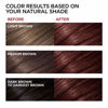 Picture of L'Oreal Paris Superior Preference Fade-Defying + Shine Permanent Hair Color, 4M Dark Mahogany Brown, Pack of 1, Hair Dye