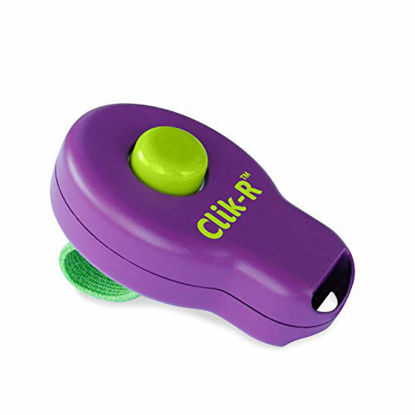 Picture of PetSafe Clik-R Dog Training Clicker - Positive Behavior Reinforcer for Pets - All Ages Puppy and Adult Dogs - Use to Reward and Train - Trainer Guide Included