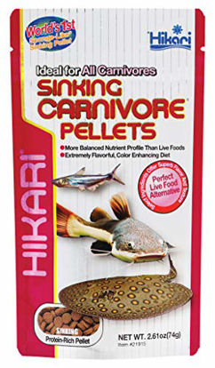 Picture of Hikari Sinking Carnivore Pellets for Pets, 2.61-Ounce