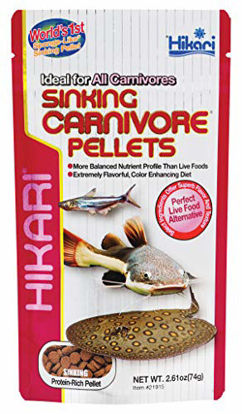 Picture of Hikari Sinking Carnivore Pellets for Pets, 2.61-Ounce