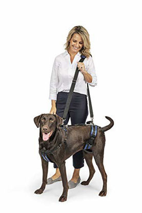 Picture of Dog Lifting Aid - Mobility Harness - Large Size