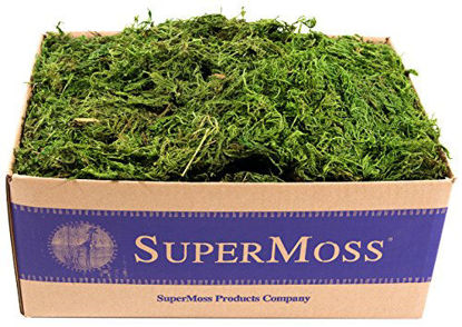 Picture of SuperMoss (25325) Forest Moss Preserved, Fresh Green, 3lbs