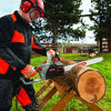 Picture of Oregon CS1500 18 in. 15 Amp Self-Sharpening Corded Electric Chainsaw