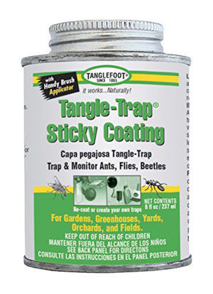 Picture of Tanglefoot Tangle-Trap Sticky Coating (Brushable), 8 oz.