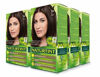 Picture of Naturtint Permanent Hair Color 3N Dark Chestnut Brown (Pack of 6), Ammonia Free, Vegan, Cruelty Free, up to 100% Gray Coverage, Long Lasting Results