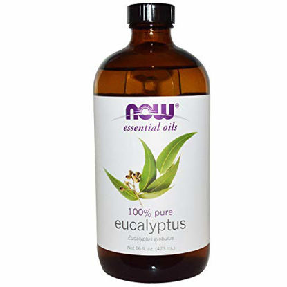 Picture of NOW Eucalyptus Essential Oil, 16 fl. oz. (2-pack)