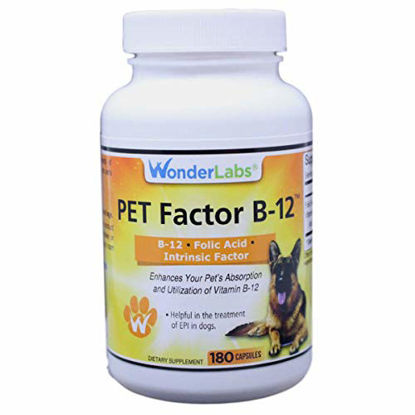 Picture of WonderLabs Pet Factor B-12 | Vitamin B-12 in Methylcobalamin Form | Popular in Treatment of EPI in Dogs
