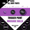 Picture of Fitballz Massage Ball Kit for Myofascial Trigger Point Release & Deep Tissue Massage,Set of 6 Premium Myofascial Release Tools, 3 Sizes Foam Balls, 2 Spiky Firm/Soft, Peanut, Carry Bag Included