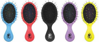 Picture of Wet Brush Squirt Mini Pocket Detangling Hair Brush,Colors May Vary(Single Brush)