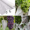 Picture of Agfabric Row Cover 0.55oz 6'x25' Frost Blanket for Winter Protection Plant Covers Feeeze Protection