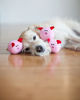 Picture of ZippyPaws - Farm Pals Burrow, Interactive Squeaky Hide and Seek Plush Dog Toy - Bubble Babiez Pig Barn