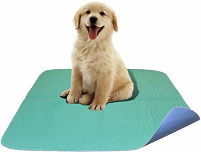 Picture of Careoutfit 2 Pack - Premium Waterproof Reusable/Quilted Washable Large Dog/Puppy Training Travel Pee Pads - Size 34 x 36