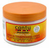 Picture of Cantu Shea Butter for Natural Hair Leave In Conditioning Repair Cream, 12 Ounce