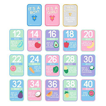Picture of Pearhead Pregnancy Countdown Photo Cards, Multi