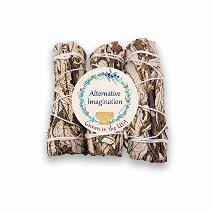 Picture of Alternative Imagination Yerba Santa Incense Bundle. Package of 3, 4 Inch Bundles. Grown in The United States.