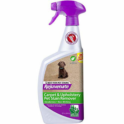 Picture of Rejuvenate Carpet Cleaner Spot Remover Stain Remover & Professional Strength Pet Stain and Pet Odor Eliminator