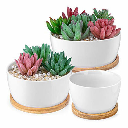 Picture of HOMENOTE 6/5/3.8 inch White Succulents Pots with Drainage Bamboo Trays Round Ceramic Succulent planters Indoor, Set of 3