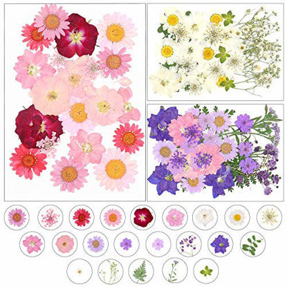 Picture of Dreamtop 85pcs Real Dried Pressed Flowers Natural Multiple Dry Flower Leaves kit for Scrapbooking DIY Candle Resin Jewelry Pendant Crafts Making Art Floral Decors