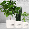 Picture of 12" Large Plant Pot by Fox & Fern - Fits Plant Stand - Drainage Plug - Outdoor Indoor - Matte White