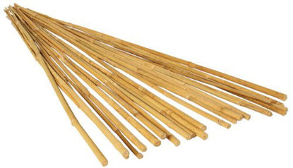 Picture of GROW!T HGBB6 - 6 Foot Long Bamboo Stakes, Natural Finish, (Pack of 25) - Strong, Durable, and Lightweight, Perfect for indoor or outdoor usage