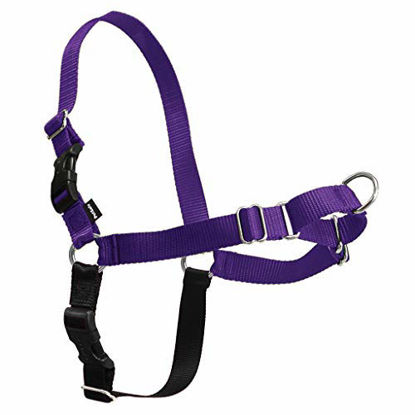 Picture of PetSafe Easy Walk Dog Harness, No Pull Dog Harness, Deep Purple/Black, Small
