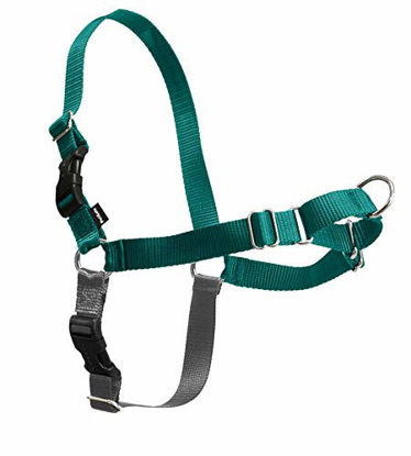Picture of PetSafe Easy Walk Dog Harness, Teal, Medium