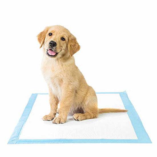 super absorbent pee pads