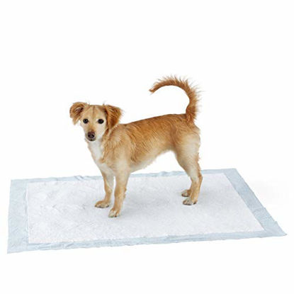 Picture of Amazon Basics Dog and Puppy Leak-proof 5-Layer Potty Training Pads with Quick-dry Surface, X-Large (28 x 34 Inches) - Pack of 60