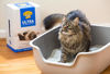 Picture of Dr. Elsey's Precious Cat Ultra Cat Litter, 18 pound bag