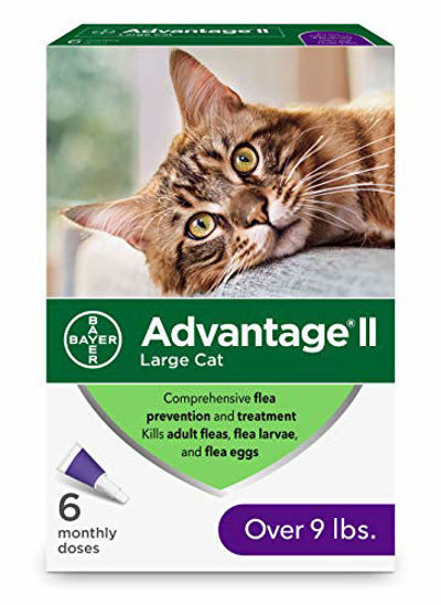 Picture of Advantage II 6-Dose Large Cat Flea Prevention, Flea Prevention for Cats, Over 9 Pounds