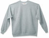 Picture of Hanes Men's Ecosmart Fleece Sweatshirt, Light Steel, Large