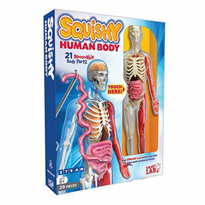 Picture of SmartLab Toys Squishy Human Body, Multicolor, Standard