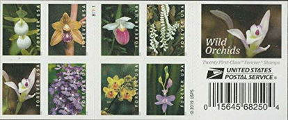 Picture of Wild Orchids Book of 20 Forever Postage Stamps Scott 5444