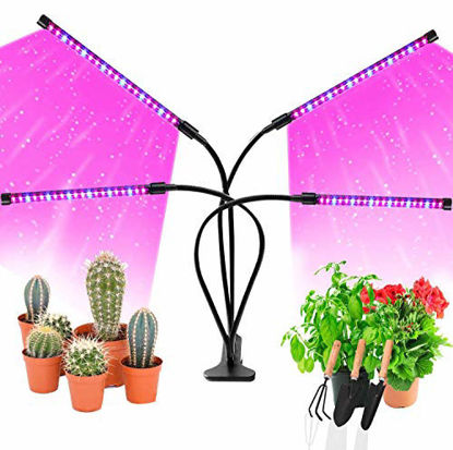 Picture of LED Grow Lights for Indoor Plants, JUEYINGBAILI 80W Full Spectrum Plant Lights with Auto ON/Off 3/9/12H Timer, 9 Dimmable Brightness for Indoor Succulent Plants Growth