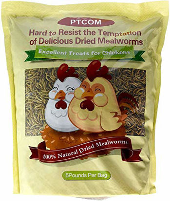 Picture of Hatortempt 5 lbs Non-GMO Dried Mealworms-High-Protein Mealworms for Wild Bird,Chicken, Ducks,Fish,Reptile, Tortoise, Amphibian,Lizard