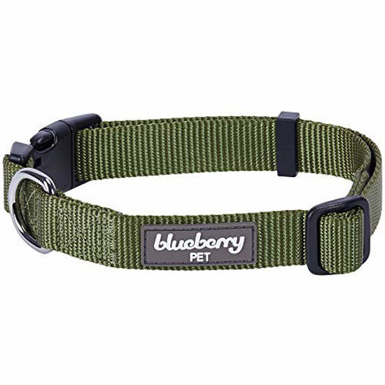 Blueberry deals pet collars