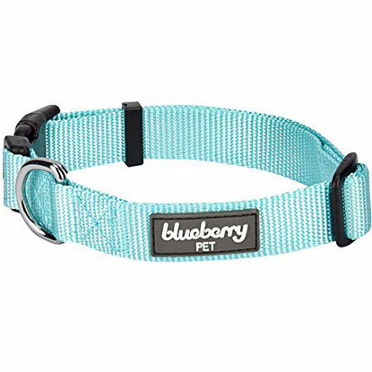 Picture of Blueberry Pet Essentials 21 Colors Classic Dog Collar, Mint Blue, Small, Neck 12"-16", Nylon Collars for Dogs