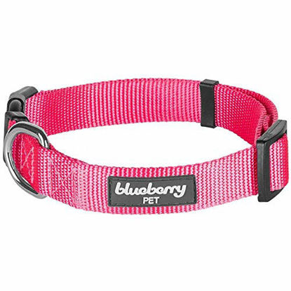 Picture of Blueberry Pet Essentials 22 Colors Classic Dog Collar, French Pink, Medium, Neck 14.5"-20", Nylon Collars for Dogs
