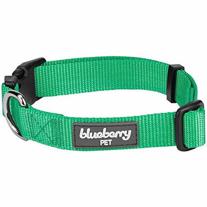 Picture of Blueberry Pet Essentials 21 Colors Classic Dog Collar, Emerald, Small, Neck 12"-16", Nylon Collars for Dogs