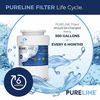Picture of Pureline MWF Water Filter Replacement. Compatible with GE MWF, MWFP, MWFAP, MWFA, MWFINT, GWF, GWFA, HWF, HWFA, HDX FMG-1, Smartwater, WFC1201, GSE25GSHECSS, 197D6321P006 (3 Pack)