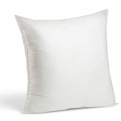 Picture of Foamily Premium Hypoallergenic Stuffer Pillow Insert Sham Square Form Polyester, 24" L X 24" W, Standard/White