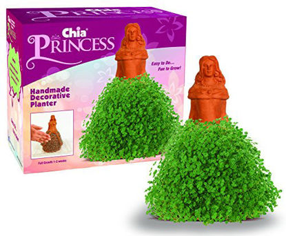  Chia Pet Bob Ross with Seed Pack, Decorative Pottery