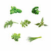 Picture of AeroGarden Gourmet Herb Seed Pod Kit (7 pod)